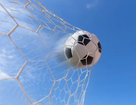 官方认证二维码